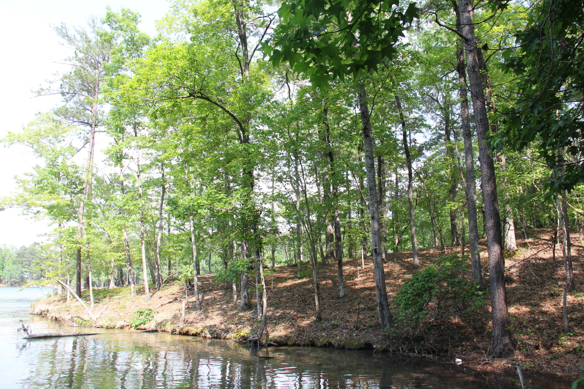 Lot 127 N Fairwinds, Windermere, Lake Martin Lake Martin Voice Lake