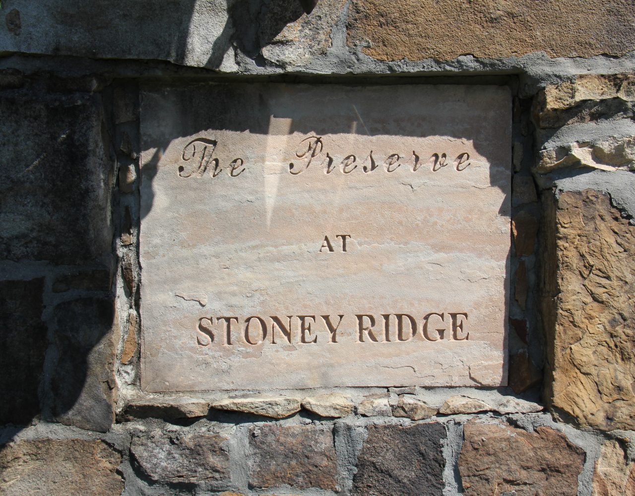 The Preserve at Stoney Ridge Lake Martin Voice Lake Martin Real