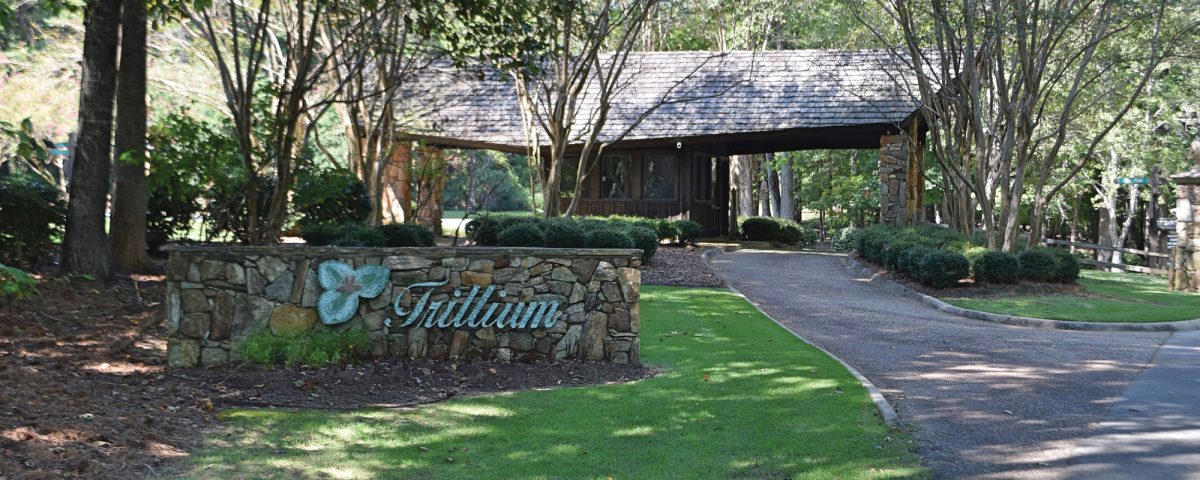 Why is Trillium so Special