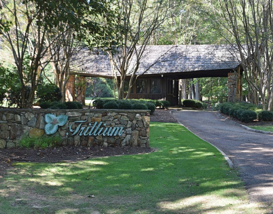 Why is Trillium so Special