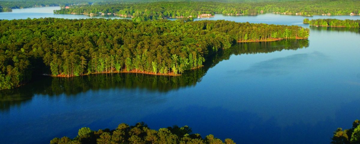 Lake Martin Market Report July 2024