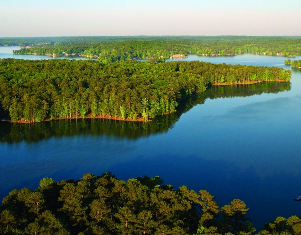 Lake Martin Market Report July 2024