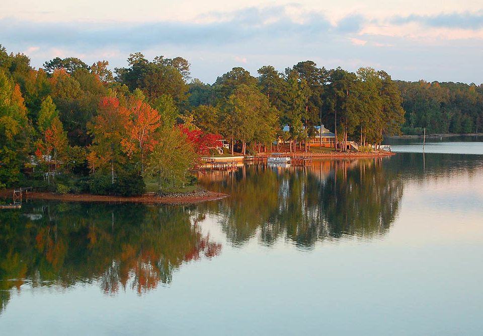 Lake Martin Seasonal Market