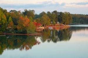 Lake Martin Seasonal Market