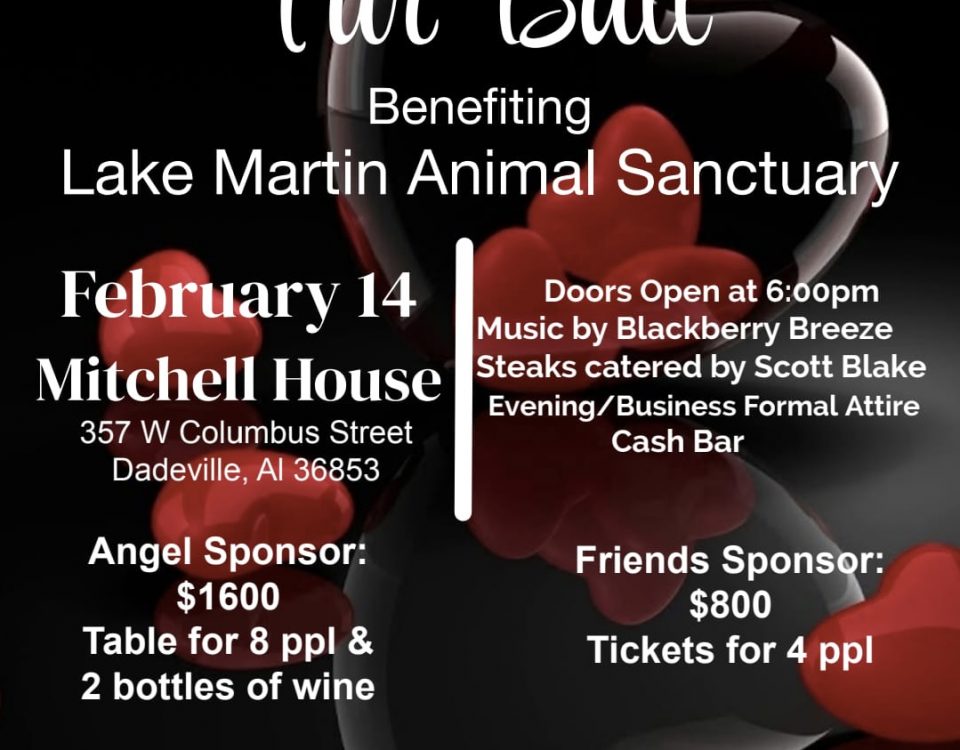 Valentine’s Day Fur Ball on Lake Martin