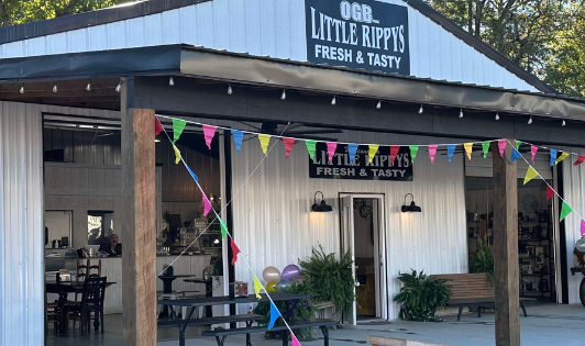 Little Rippys Lake Martin