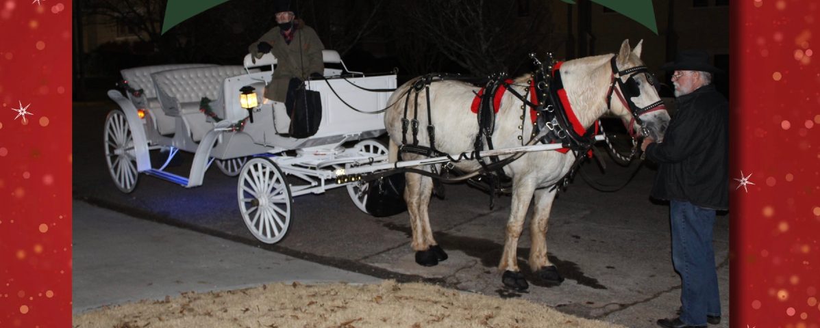 Horse-drawn carriage rides Lake Martin