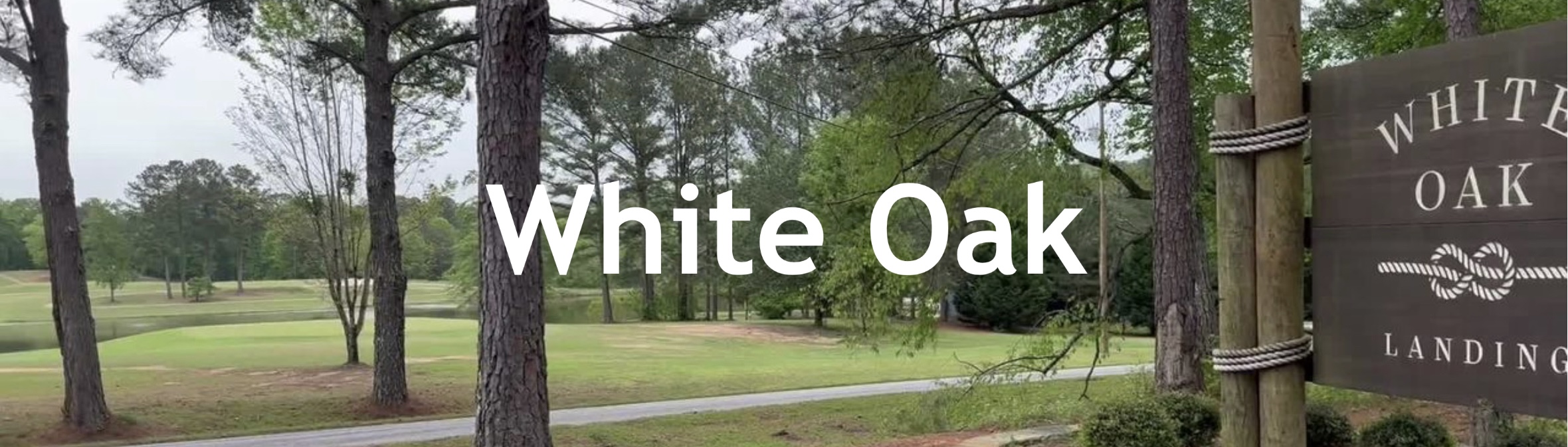 White Oak