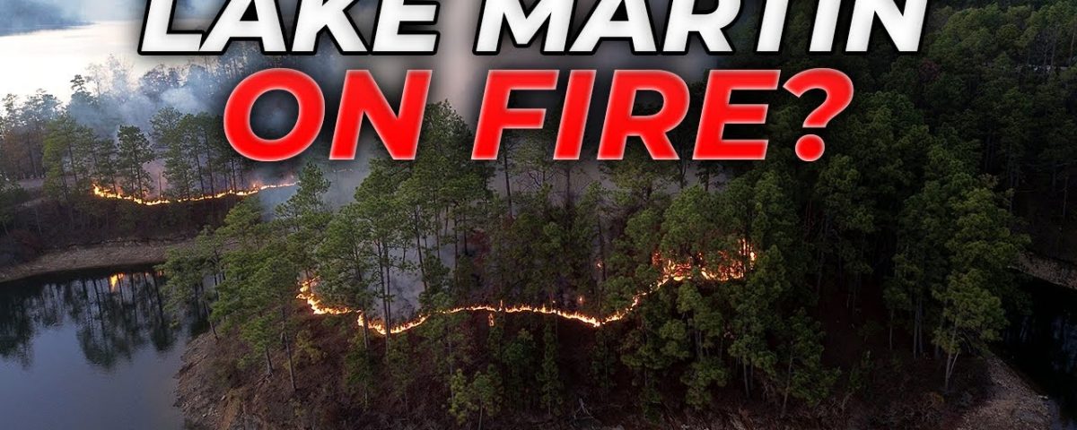 Why Lake Martin fires matter