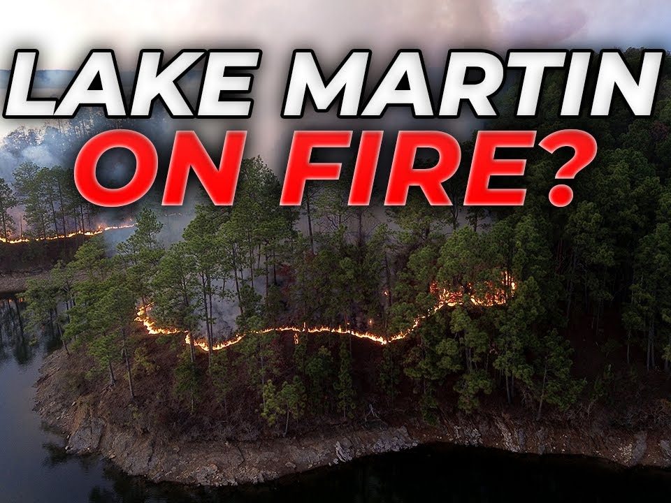 Why Lake Martin fires matter