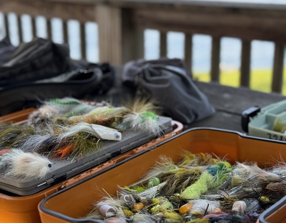 Fly casting clinic