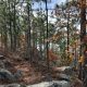Fall Activities at Lake Martin