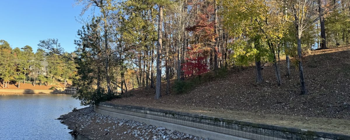 Real Estate on Lake Martin in Fall and Winter