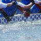 Lake Martin Dragon Boat Festival