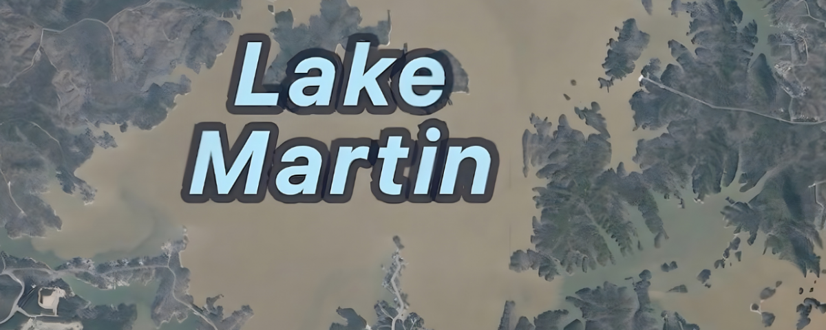 Muddy Side of Lake Martin